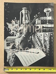 Vintage 11×14 unframed MUSIC & FLORAL Theme VIOLIN FLOWERS & BOOKS Photo Art B&W