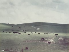 COLE WESTON, “PALO CORONA RANCH” SIGNED C-PRINT PHOTOGRAPH