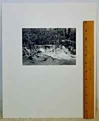 Lot of 3 B&W Photos- Unframed Matted- Forest Water Ice Wood Trees – c1970
