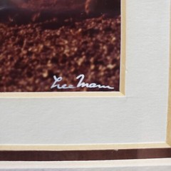 Vintage Matted and Signed Photograph Lee Mann Mountain Scene 15.5 x 13
