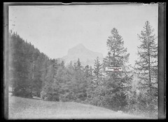 Old Black And White Photo Glass Plate Negative 6X9 Cm Landscape Alps Mountain