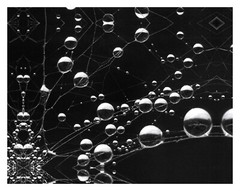 Photographs printed as 18″x24″ gallery-wrap canvases, 1.5″ deep bars, $150