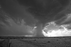 Storm Photography Print – Black and White Picture of Rain Shaft in West Texas
