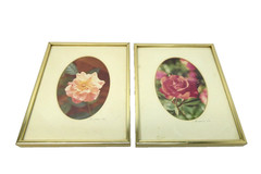 Signed 1974 Gold Framed Matted Flower Floral Photographs Pink Rose Photos Decor