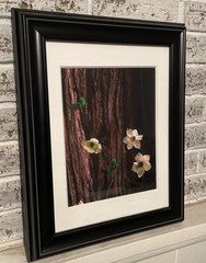 “Dogwood” Rodney Lough Jr -Open Edition Print – Yosemite National Park