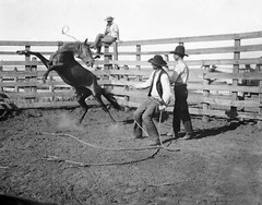 Branding on the Range, Matador Ranch, Texas. Erwin E. Smith 11″x14″ Print
