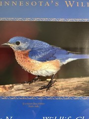 Eastern Bluebird (Sialia sialis) Framed Photo for Helping Minnesota’s Wildlife