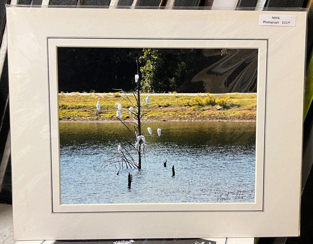 Matted photograph signed 11 x 14 inch white birds Texas lake pond