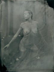 Original ART Nude COLLODION WETPLATE 18x24cm (8×10″) 006