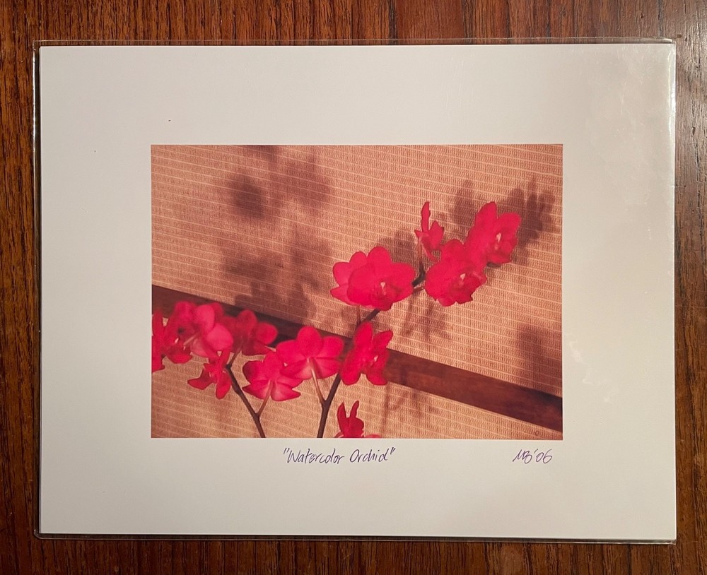 Original photographic print “Watercolor Orchid” by Michael Blumenstock