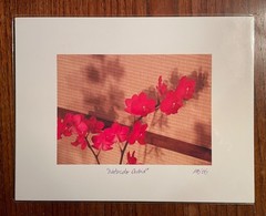 Original photographic print “Watercolor Orchid” by Michael Blumenstock