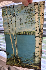 Helmscene Partial Pictures (3pcs) for Craft or Your own Lighted picture Frame