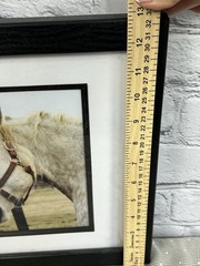 Jennifer Meyers Equestrian Photography “Horse Kiss” Framed & Matted Wall Art