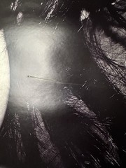 Pete Burns Dead Or Alive Black & White Original Print Kate Garner RARE 32” X 23”