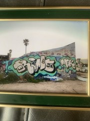 graffiti Art High Gloss Photograph By RIME MSK SIGNED Lmtd @100 Framed!