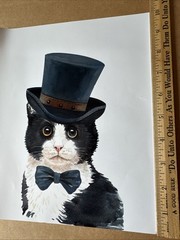 Tuxedo Cat 8 x 10 Photograph Photo Picture Art Print Wall Hanging – free US ship