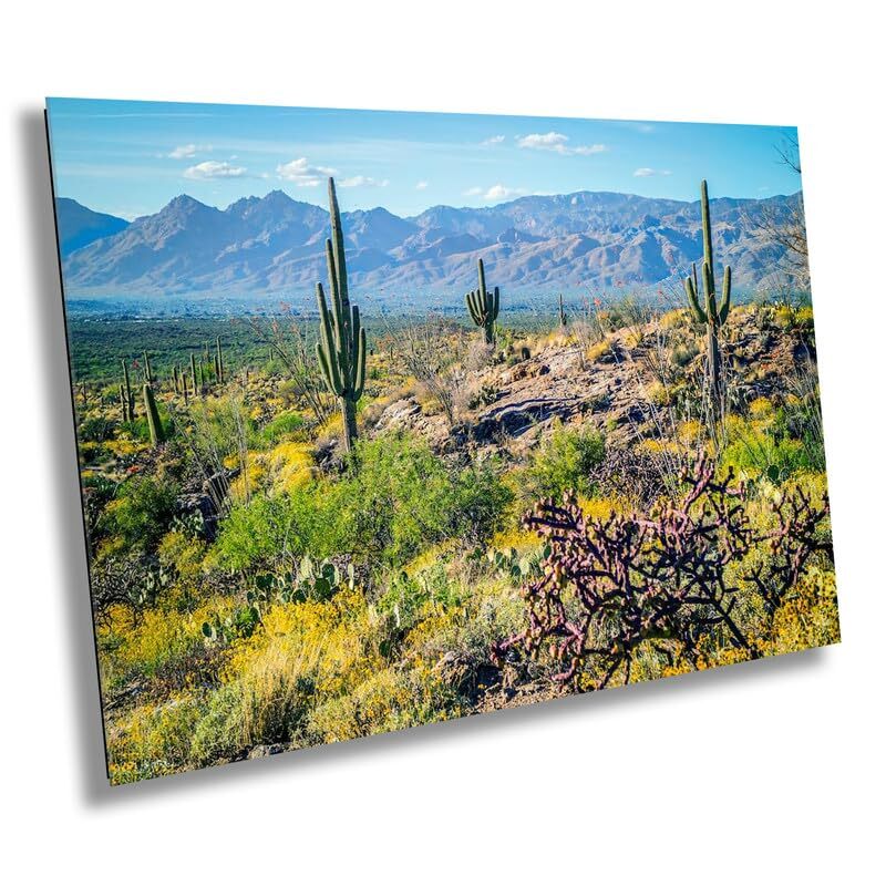 Desert Tapestry: Saguaro National Park East Arizona Cactus Desert Wall Art