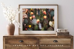 Prickly Pear Cactus Photography Print | Desert Picture | West Texas Wall Art