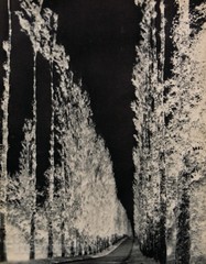 1931 Original MAURICE TABARD Surreal Negative Abstract Landscape Photo Gravure