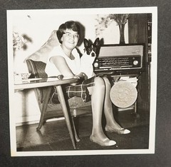 Photo Portrait Young Woman Youth Nylons Pet Dog Radio Furniture Picture Glasses