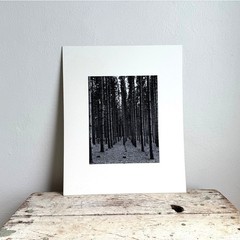 Black and White Pine Forest Photography Print Matted Wall Art 13×16 Landscape