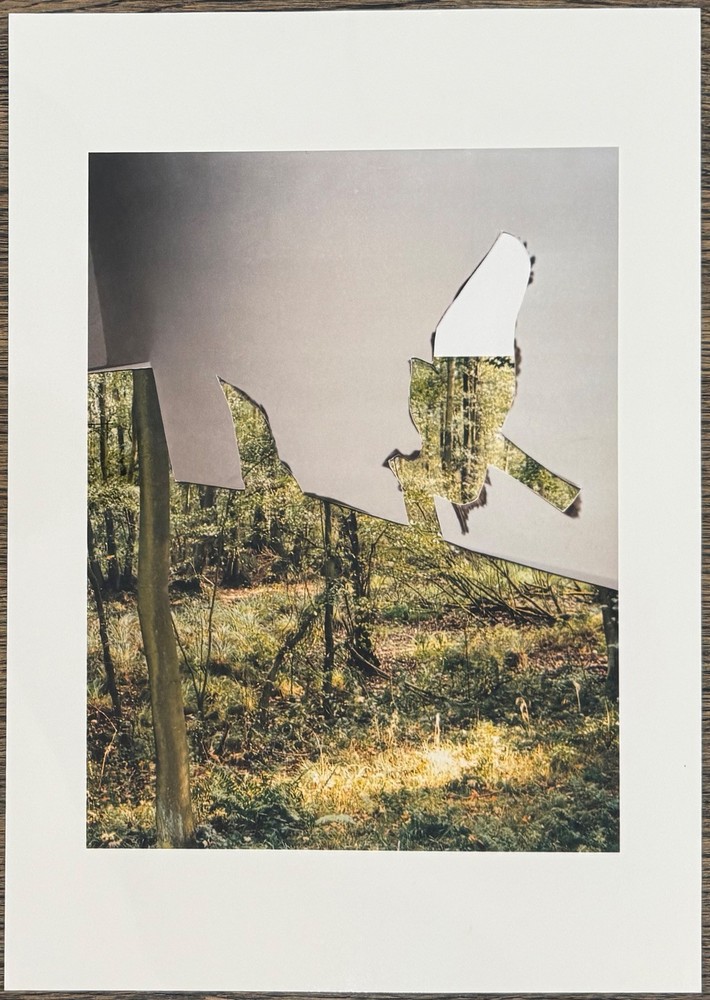 Dörte Eißfeldt, Flight 6, photograph, 2003, autographed, stylus art