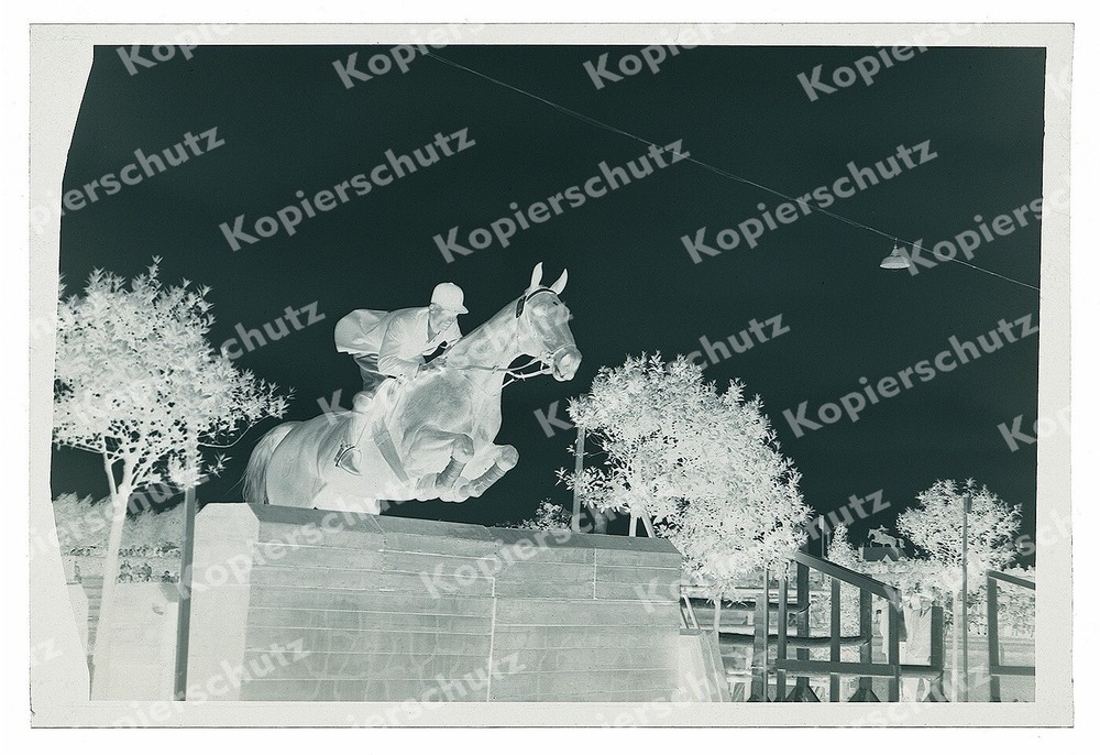or. 6×9 Negativ Fritz Tiedemann Pferd Meteor Spingreiten Turnier Hindernis 1953