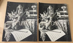 Vintage 11×14 unframed MUSIC & FLORAL Theme VIOLIN FLOWERS & BOOKS Photo Art B&W
