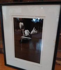 Framed Signed Dated PHOTOGRAPH Black & White Flowers/Vase 1989-14.75″H X 12″L