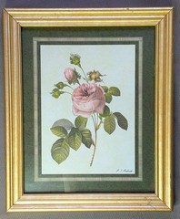 P.J. Redoute Botanical Print Pink Rose Gold Tone Frame 11.5×9.5” Vintage
