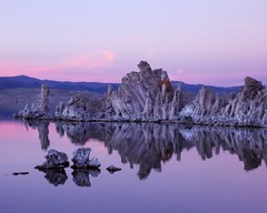 Mono Lake California 8″x10″ Photo Print 8×10