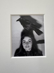 Weegee girl with bird print – Magnum Square – Estate Stamped – Ascher Fellig