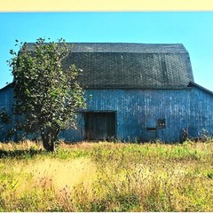 MICHAEL RAY Original Vintage Signed Long Island Landscape Barn Photograph Print