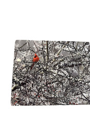 Paul Grecian Photograph on Metal 6″ x 4″ Cardinal on Icy Branch Signed Numbered