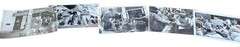 Protest Photographs, Archive of 45+ Strike Photos San Francisco Examiner 1937-90
