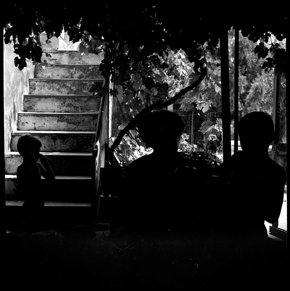 Women Children Wine Garden Negative Photo Vintage + Original Print Year 1950