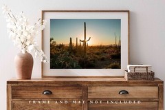 Saguaro Cactus Photography Print: Arizona, Sonoran Desert, Picture, Photo