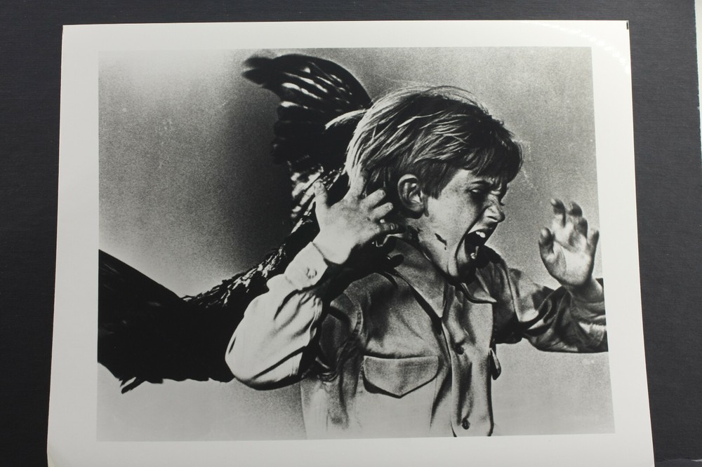 The Birds Bird Attacking Boy Action Scene – 8×10″ Photo Print – Vintage L1301C
