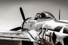 WWII Aircraft Photography, Wall Art on Canvas, P-47D Thunderbolt, 20″x30″ Framed