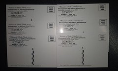 JEFFREY SILVERTHORNE~Six 4″ x 6″ Postcards~2004 Exhibit~ Bookbeat~Oak Park MI