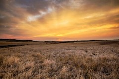 Great Plains Photography Print – Picture of Sunrise Over Prairie in Montana