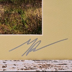 MICHAEL RAY Original Vintage Signed Long Island Landscape Barn Photograph Print