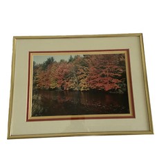 Art Photography Photo Autumn Picture Lake Matted Framed Fall Leaves