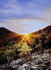 fine art nature photography prints