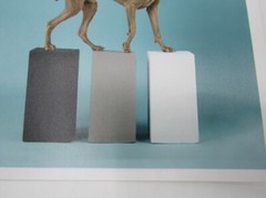 Signed William Wegman photograph Contact 2014 6×6” Magnum Weimaraner dog