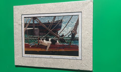 Limited Edition #126/350 Cats Life Italy Photo Signed 11×14 Matted Art Cat