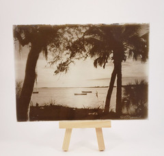 E G Barnhill – 5 x 7 Black & White Photos on Glass Plates – Set of 2