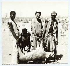 Afrika Szene Jagd- – Foto Antike An. 1950