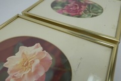 Signed 1974 Gold Framed Matted Flower Floral Photographs Pink Rose Photos Decor