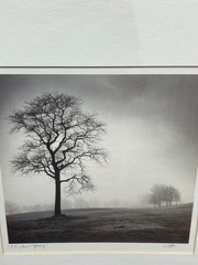 Richard Calvo ‘In Just Spring’ Framed Black & White Landscape Tree Photograph